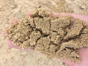 Песок в деревне Аксиньино IMG_5118-15-07-18-10-15.JPG